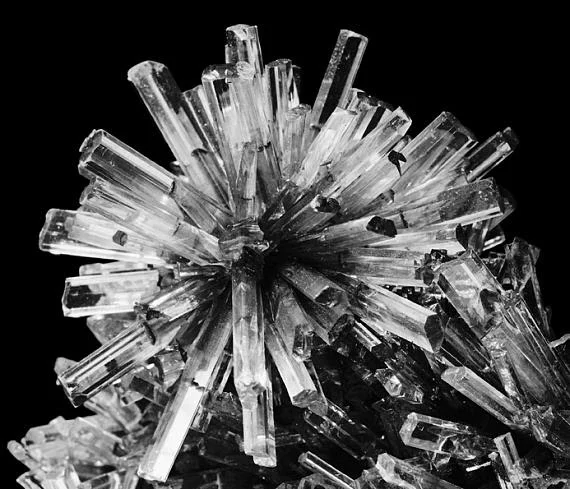 Naturfotografie: Fred Koch (1904-1947) Gips-Kristalle (Eisleben, vergrößert), vor Februar 1931 Silbergelatineabzug auf Barytpapier, 12,3 x 14,3 cm bpk-Bildagentur / Fred Koch